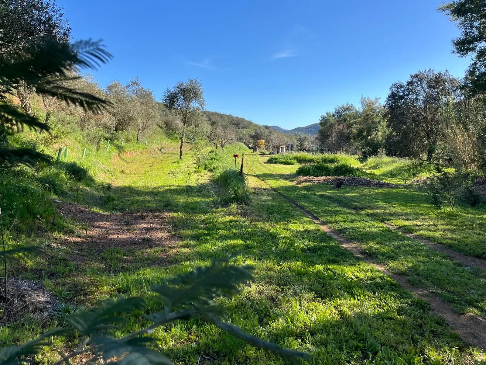 Quinta do Despertar Arcaico