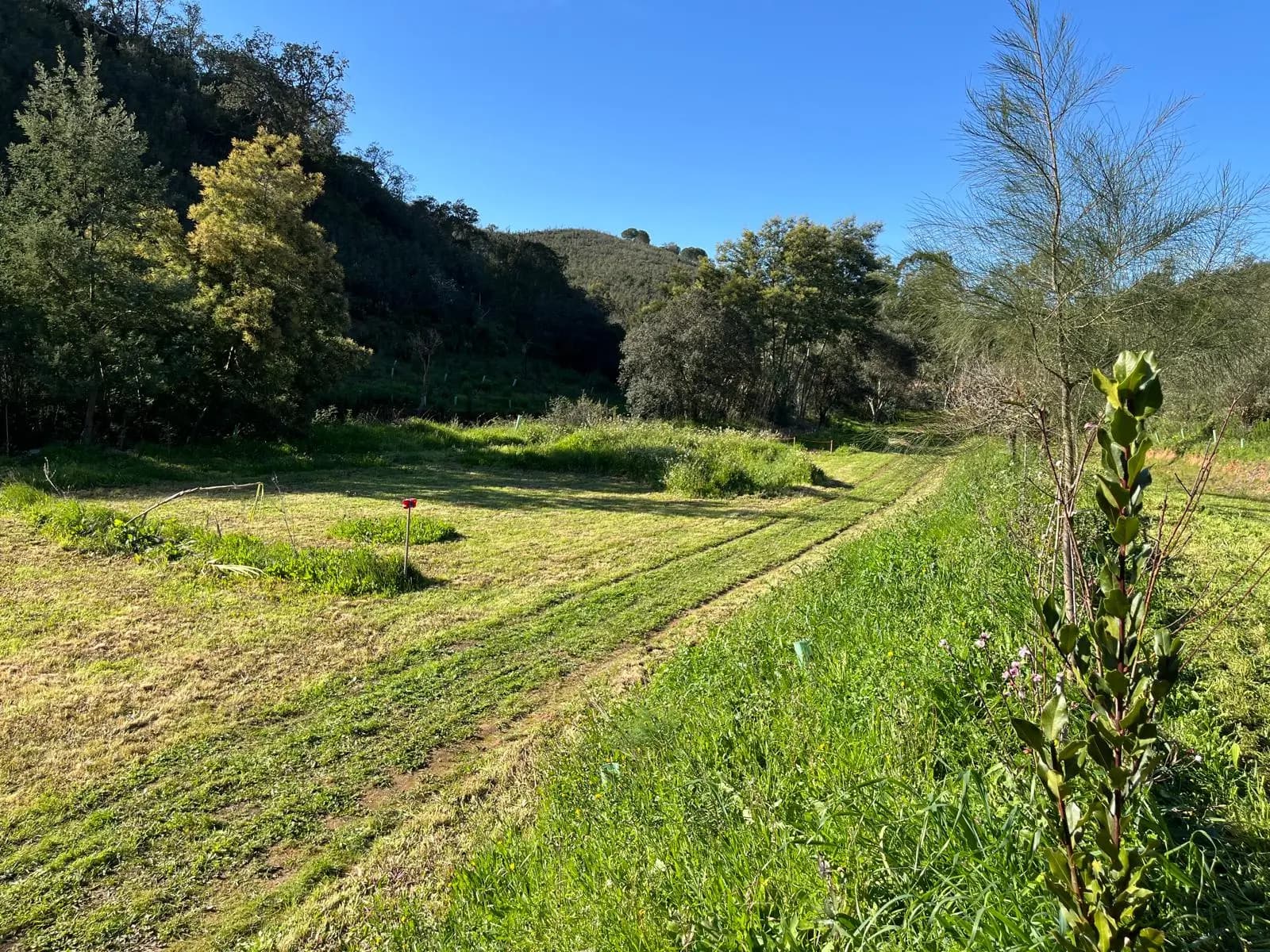 Quinta do Despertar Arcaico