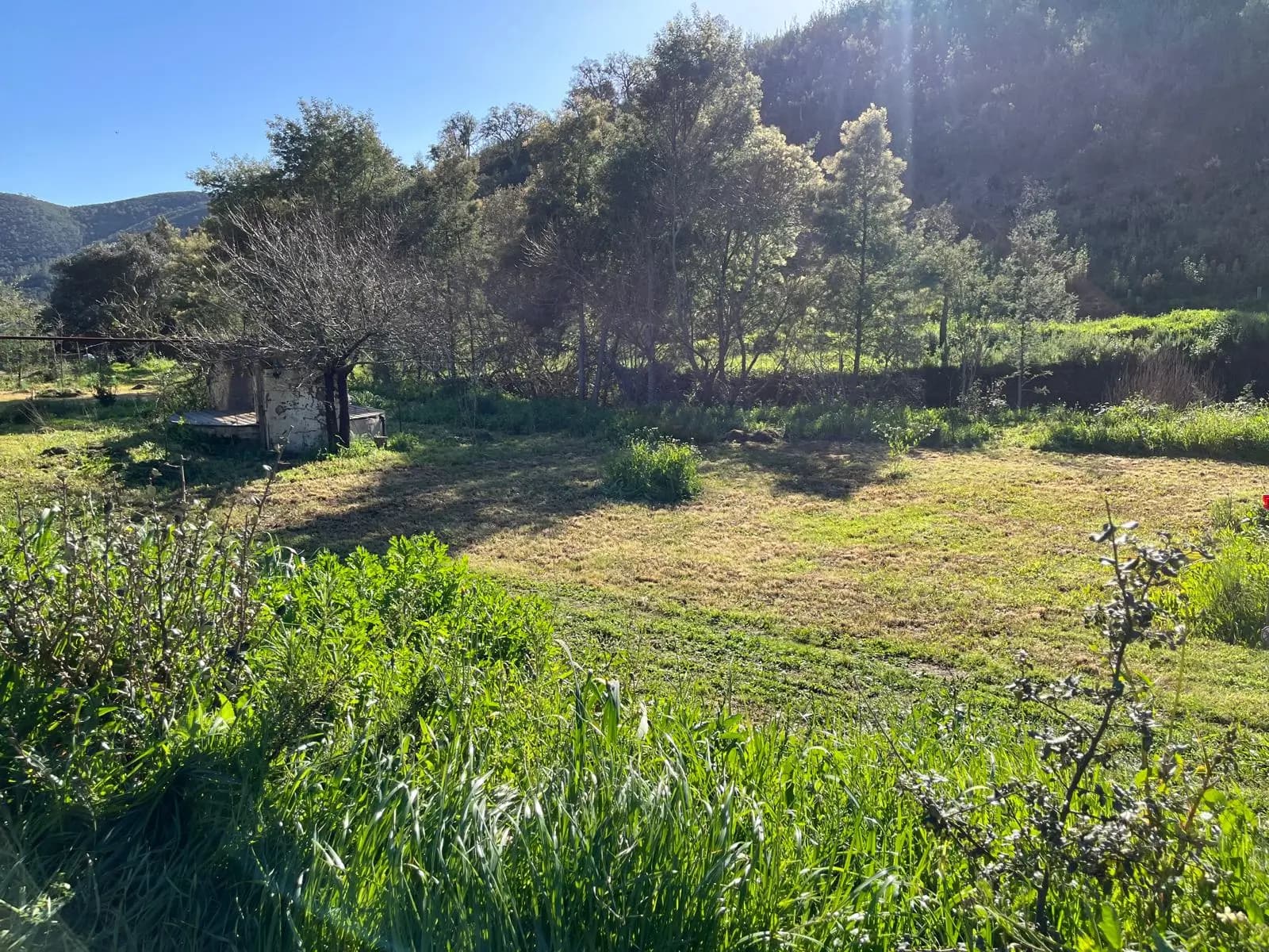 Quinta do Despertar Arcaico